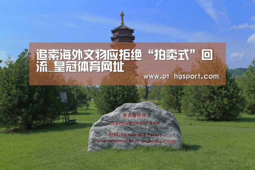 追索海外文物应拒绝“拍卖式”回流_皇冠体育网址